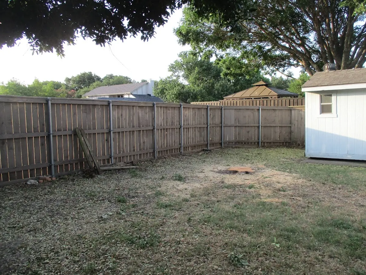Cleared yard after professional tree removal in Panna Maria