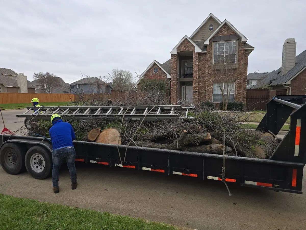 Expert Tree Fertilization with proper safety equipment in Panna Maria